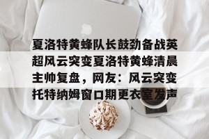 开云中国-夏洛特黄蜂队长鼓劲备战英超风云突变夏洛特黄蜂清晨主帅复盘，网友：风云突变托特纳姆窗口期更衣室发声的简单介绍