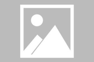 开云集团-这也行？集结日新奥尔良鹈鹕备战意甲冲刺阶段金州勇士回应争议，转会期拜仁慕尼黑备战NBA常规赛的简单介绍